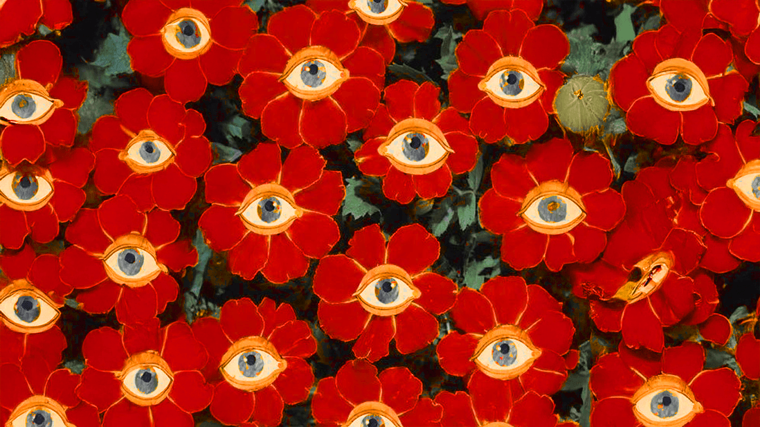 Luxury hotel website design by Ocreamer Studio