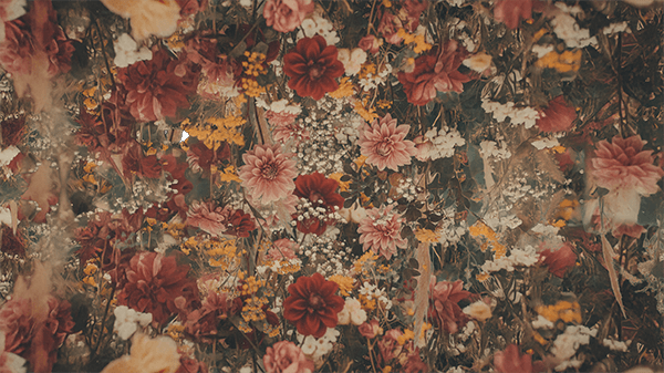 Pure Wellness Studios - Health & Wellness website design