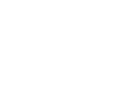 TactData, New York, USA